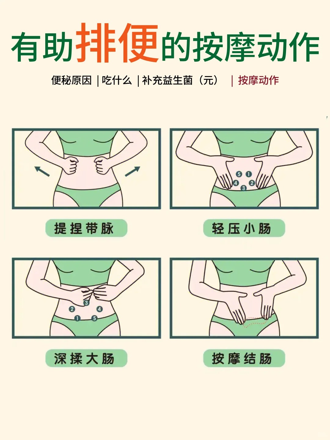 辰小膳 益生元 膳食纤维 低聚果糖  肠道健康  低聚半乳糖 便秘 腹泻 肠道菌群  水土不服通便按摩手法