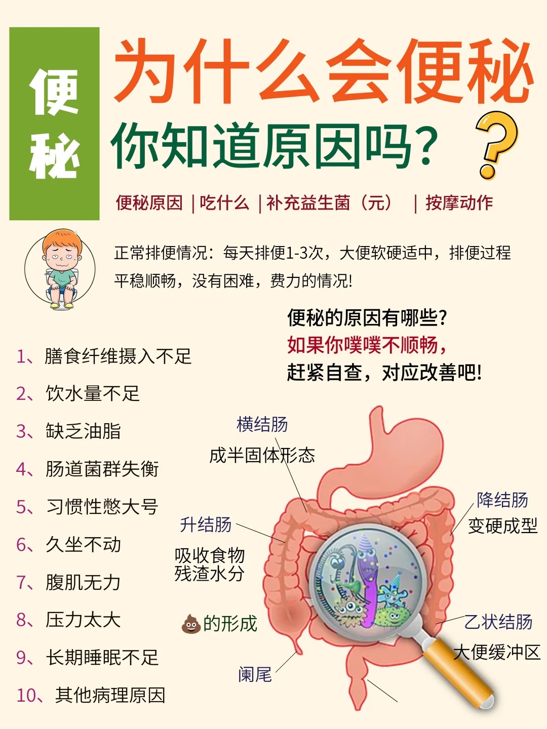 辰小膳 益生元 膳食纤维 低聚果糖  肠道健康  低聚半乳糖 便秘 腹泻 肠道菌群  水土不服为什么会便秘，你知道原因吗？